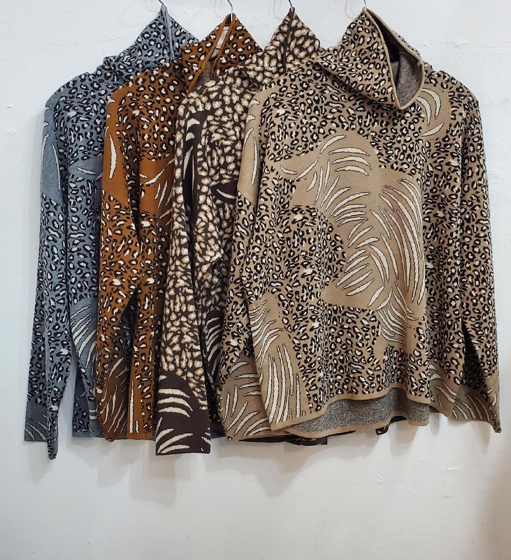 지브라호피나염돌돌이티